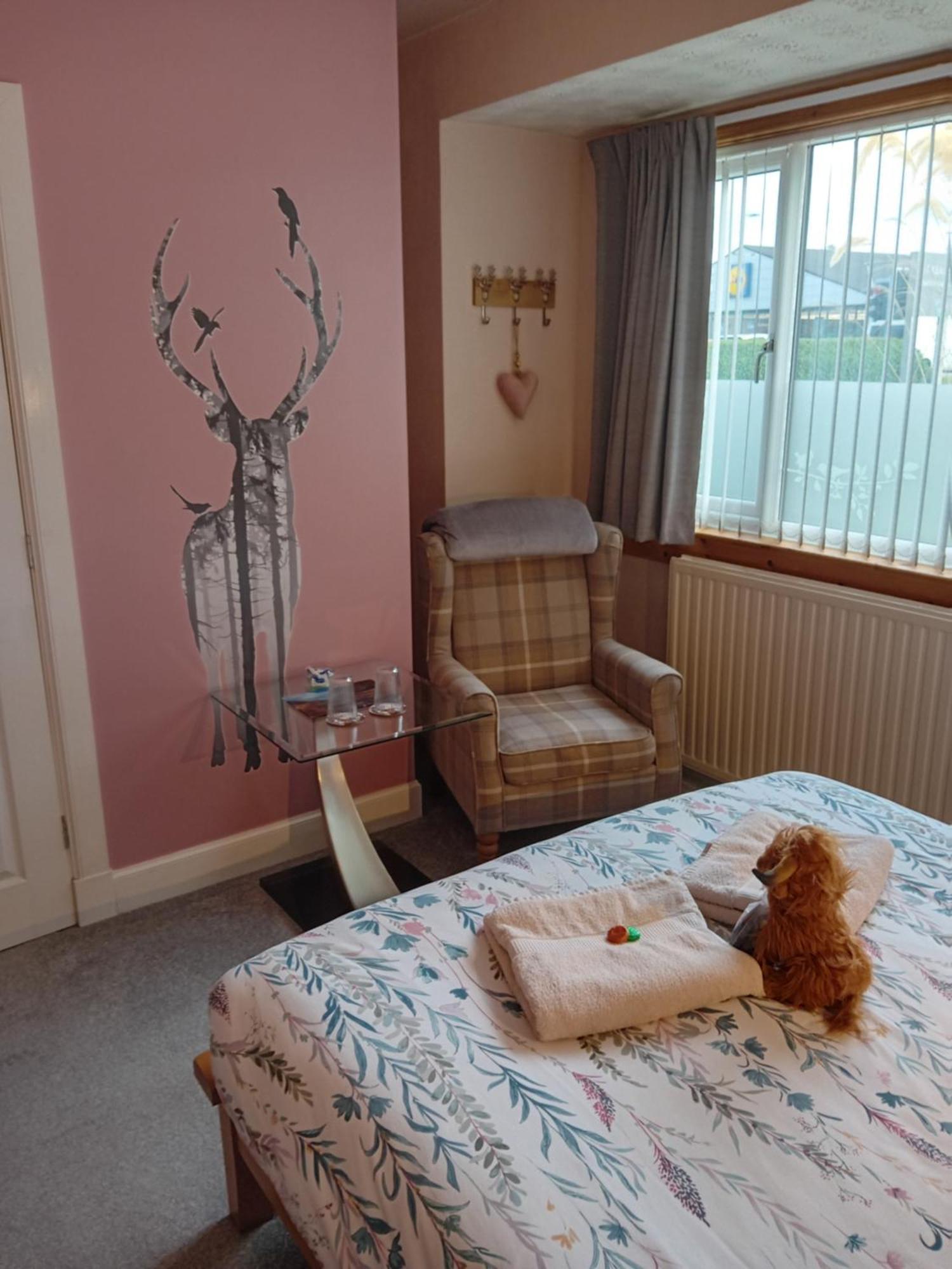 The Kemps Guest House インヴァネス エクステリア 写真